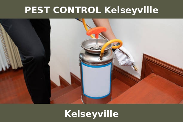 PEST CONTROL Kelseyville